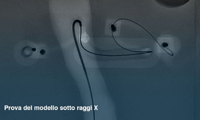 Bio3DModel e SolidWorld GROUP creano un nuovo simulatore aortico in 3D per accesso endovascolare 4 Modello di simulatore aortico sotto i raggi X