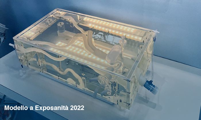 Bio3DModel e SolidWorld GROUP creano un nuovo simulatore aortico in 3D per accesso endovascolare 5 Modello di simulatore aortico ad Exposanità 2022